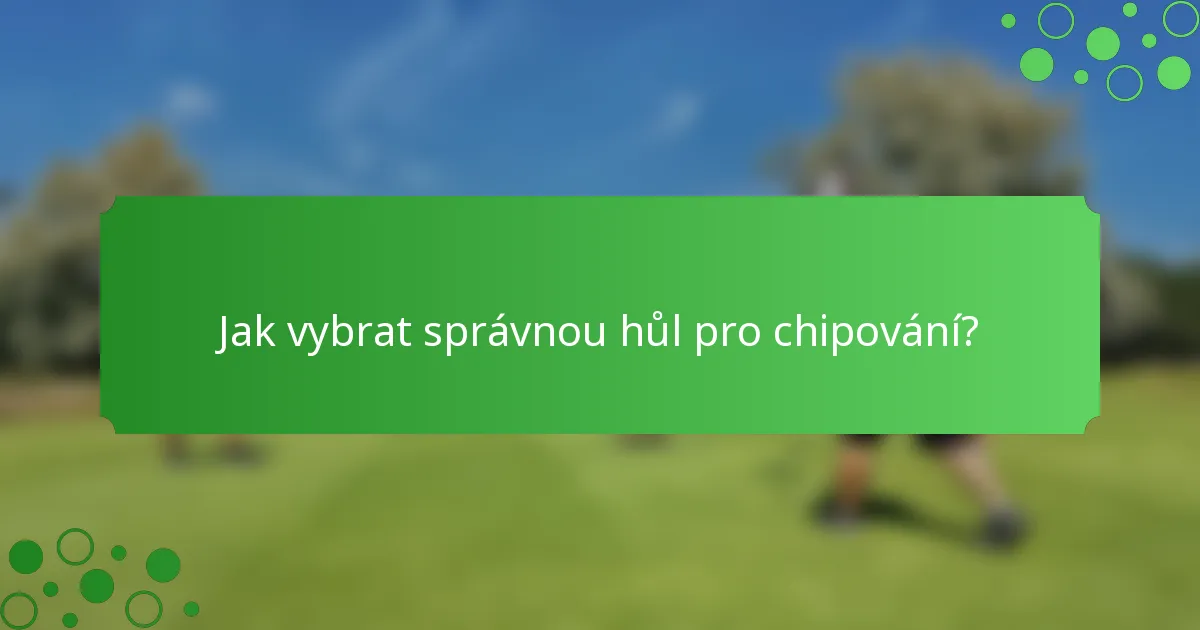 Jak vybrat správnou hůl pro chipování?